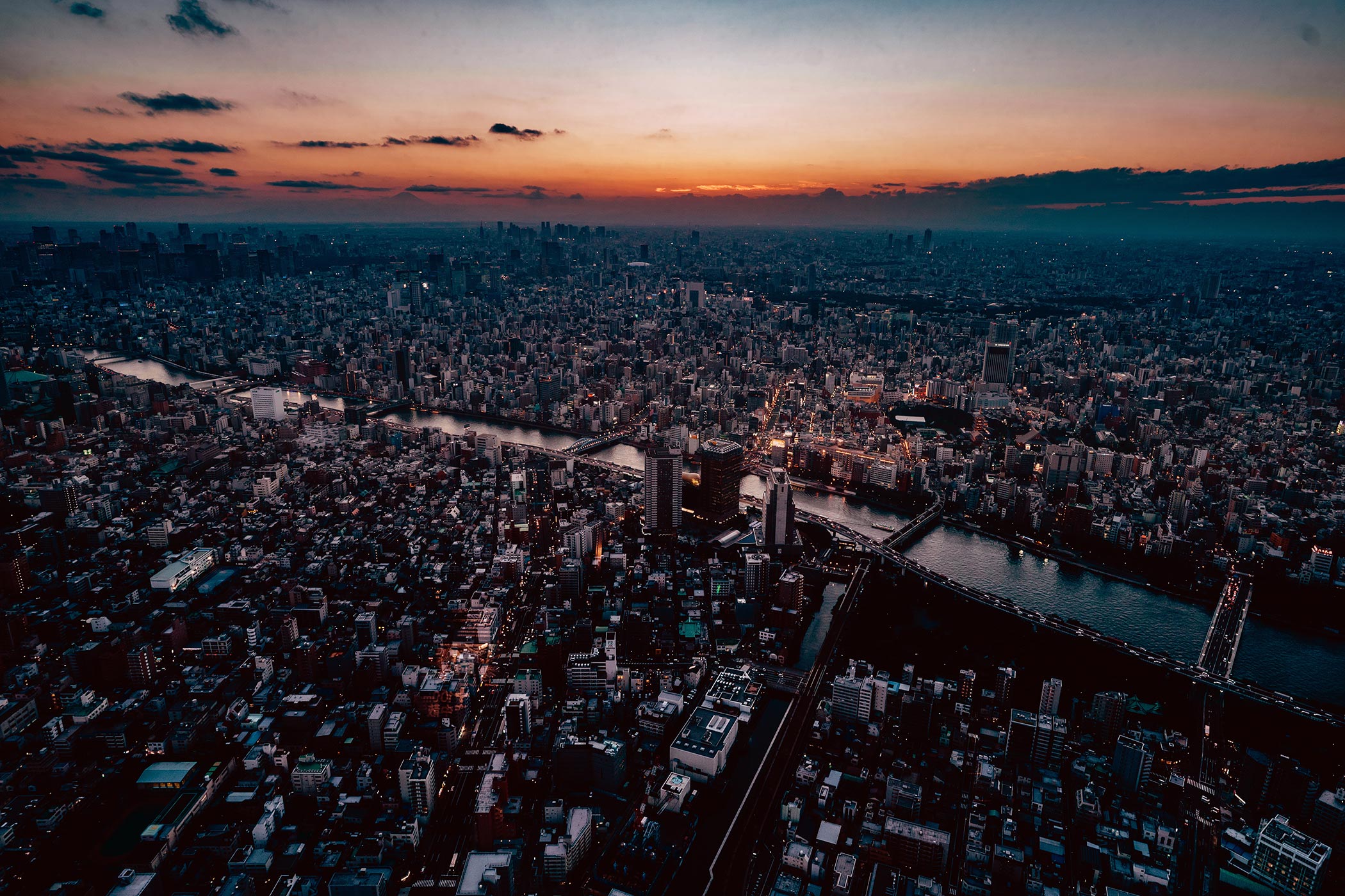 新卒採用を最高の投資に変える